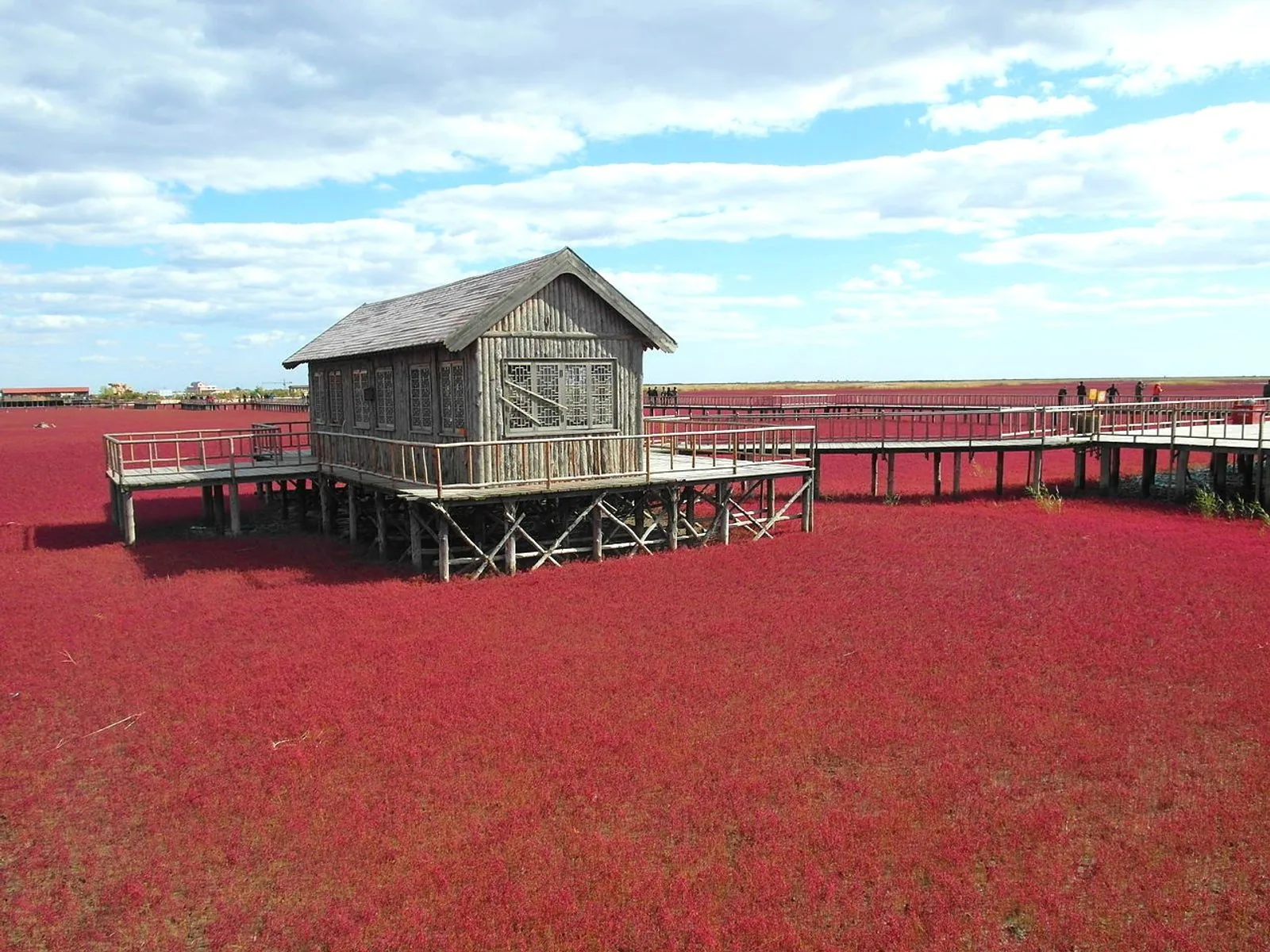 Panjin — representative photograph