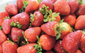 IQF frozen strawberry supply